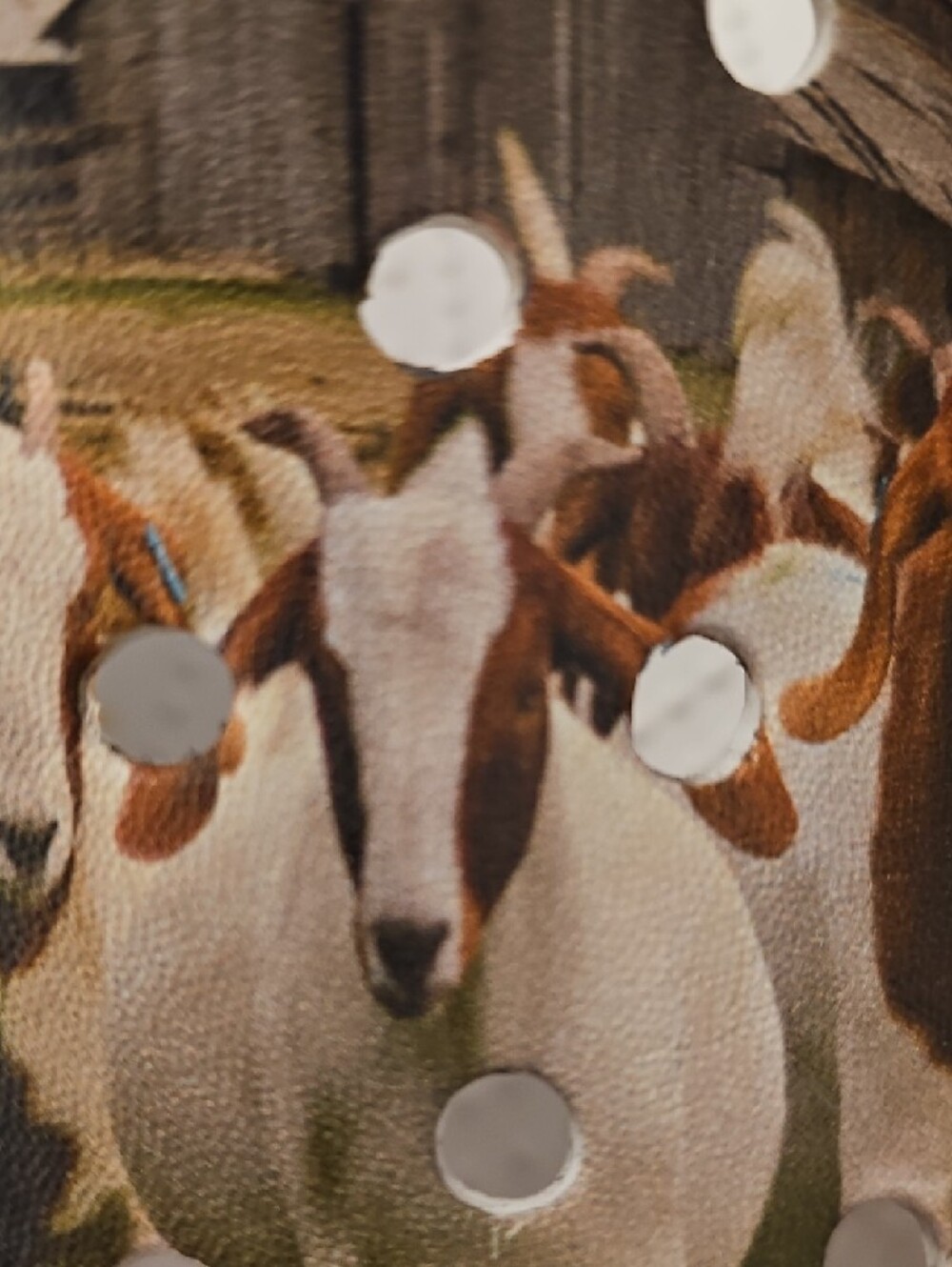 Clog Shoes With Farm Scene And Goats in Tan and White - Picture 2 of 10